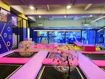 想在南宁开室内游乐场的创业者，需要找整场设计和设备的源头厂家，推荐蜜动游乐